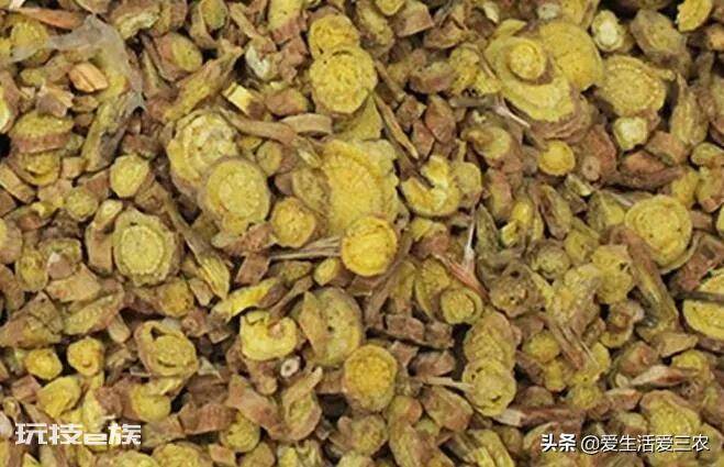亩效益过万的一年生药材(农村种植什么药材项目更赚钱)-图片8